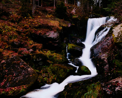 电话轰在线轰炸免费